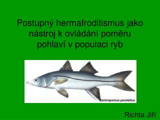 Postupný hermafroditismus jako nástroj k ovládání poměru pohlaví v populaci ryb