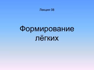 Лекция 08