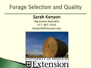 Forage Selection and Quality