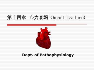 第十四章 心力衰竭（ heart failure)
