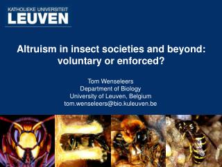 Altruism in insect societies and beyond: voluntary or enforced?