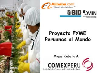 Proyecto PYME Peruanas al Mundo