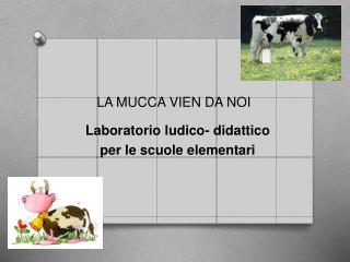 LA MUCCA VIEN DA NOI