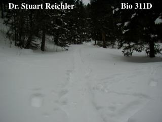 Dr. Stuart Reichler Bio 311D