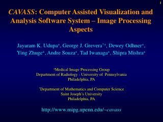 CAVASS : Computer Assisted Visualization and Analysis Software System – Image Processing Aspects