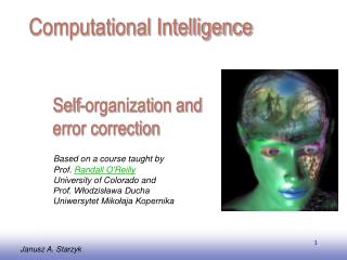Self-organization and error correction