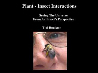 Plant - Insect Interactions Seeing The Universe From An Insect’s Perspective
