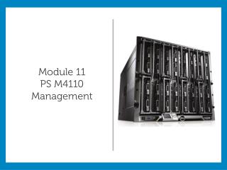 Module 11 PS M4110 Management