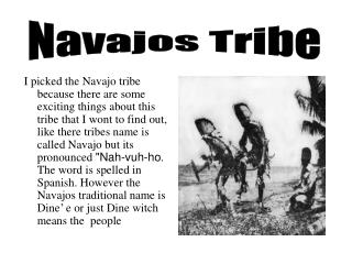 Navajos Tribe