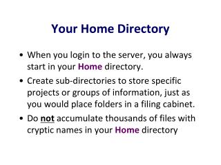 Your Home Directory