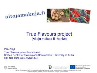 Päivi Töyli True Flavours, project coordinator