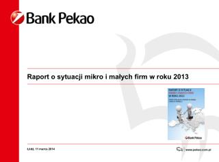 Raport o sytuacji mikro i małych firm w roku 2013