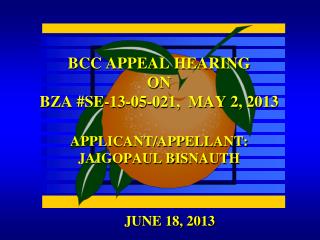 BCC APPEAL HEARING ON BZA #SE-13-05-021, MAY 2, 2013 APPLICANT/APPELLANT: JAIGOPAUL BISNAUTH