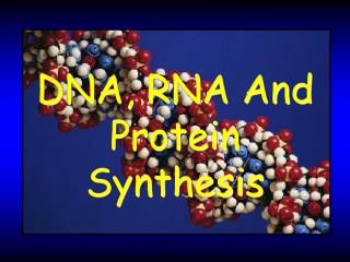 DNA, RNA And Protein Synthesis
