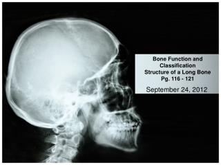 Bone Function and Classification Structure of a Long Bone Pg. 116 - 121