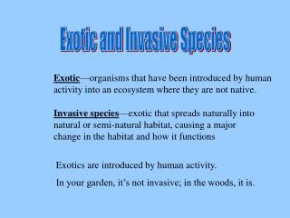 Exotic and Invasive Species