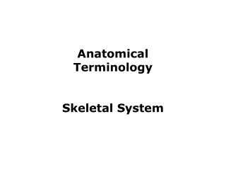 Anatomical Terminology Skeletal System