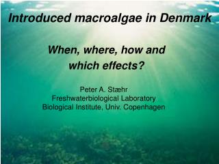 Introduced macroalgae in Denmark