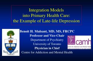 Integration Models into Primary Health Care: the Example of Late-life Depression