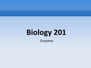 Biology 201 Enzymes