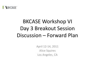 BKCASE Workshop VI Day 3 Breakout Session Discussion – Forward Plan