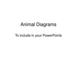 Animal Diagrams
