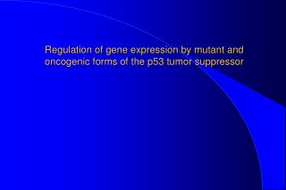Regulation of gene expression by mutant and oncogenic forms of the p53 tumor suppressor