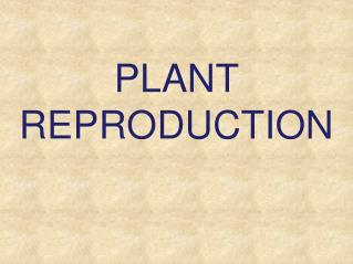 PLANT REPRODUCTION