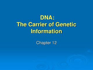 DNA: The Carrier of Genetic Information