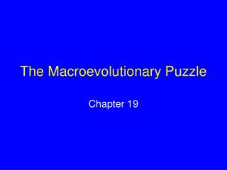 The Macroevolutionary Puzzle