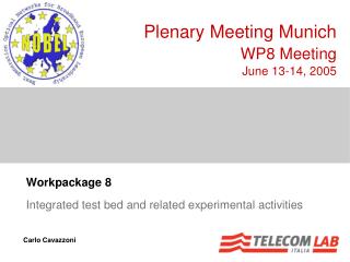 Workpackage 8 Integrated test bed and related experimental activities