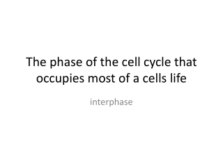 The phase of the cell cycle that occupies most of a cells life