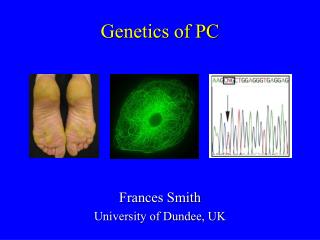 Genetics of PC