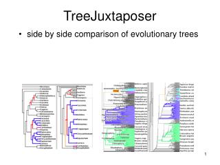 TreeJuxtaposer