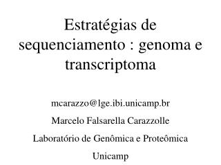 Estratégias de sequenciamento : genoma e transcriptoma mcarazzo@lge.ibi.unicamp.br
