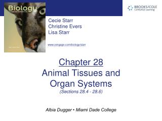 Chapter 28 Animal Tissues and Organ Systems (Sections 28.4 - 28.6)