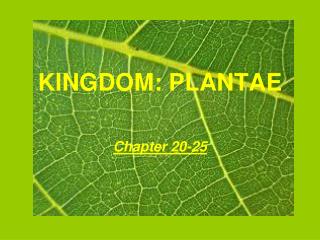 KINGDOM: PLANTAE