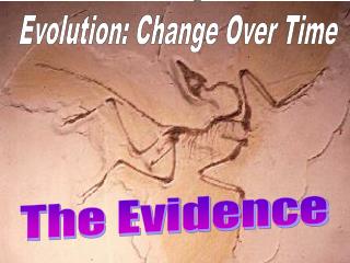 Evolution: Change Over Time
