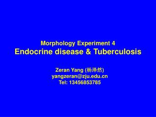 Morphology Experiment 4 Endocrine disease &amp; Tuberculosis