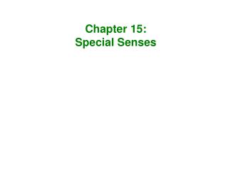 Chapter 15: Special Senses