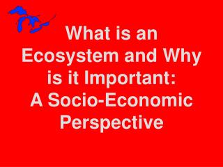 What is an Ecosystem and Why is it Important: A Socio-Economic Perspective