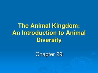 The Animal Kingdom: An Introduction to Animal Diversity