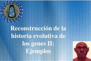 Reconstrucción de la historia evolutiva de los genes II: Ejemplos