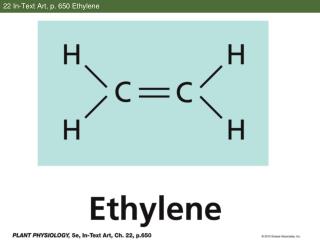 22 In-Text Art, p. 650 Ethylene