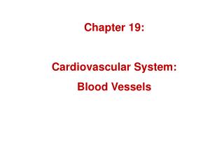 Chapter 19: Cardiovascular System: Blood Vessels