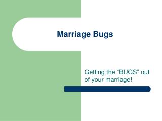 Marriage Bugs