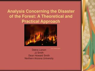 Analysis Concerning the Disaster of the Forest: A Theoretical and Practical Approach