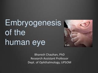 Bharesh Chauhan, PhD Research Assistant Professor Dept. of Ophthalmology, UPSOM