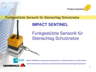 IMPACT SENTINEL Funkgestützte Sensorik für Steinschlag Schutznetze