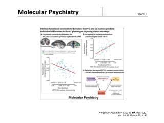 Molecular Psychiatry (2014) 19 , 915-922; doi:10.1038/mp.2014.46